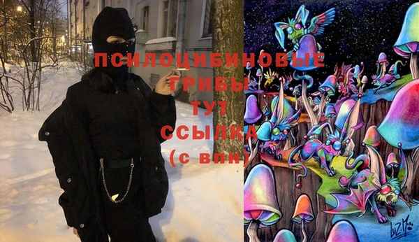ECSTASY Козельск
