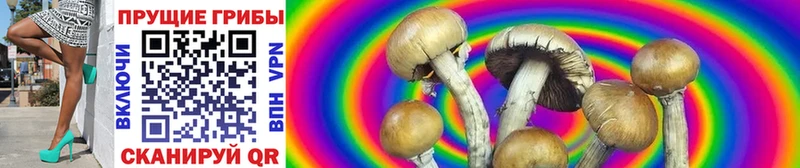 Псилоцибиновые грибы GOLDEN TEACHER  Купить где  Екатеринбург 