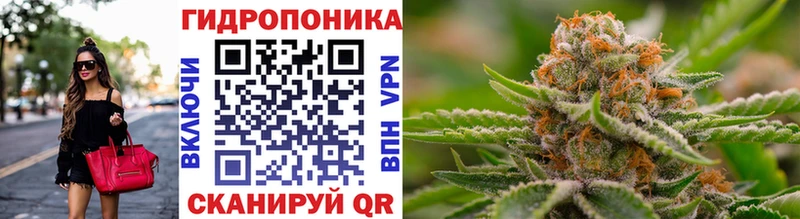 Бошки Шишки марихуана  Купить где  Екатеринбург 